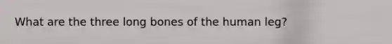 What are the three long bones of the human leg?