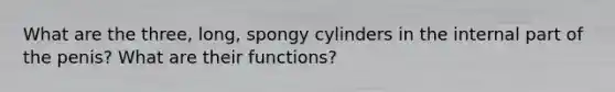 What are the three, long, spongy cylinders in the internal part of the penis? What are their functions?