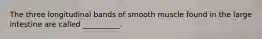 The three longitudinal bands of smooth muscle found in the large intestine are called __________.