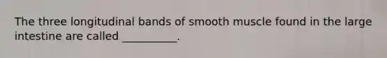 The three longitudinal bands of smooth muscle found in the large intestine are called __________.