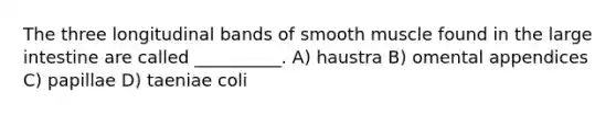 The three longitudinal bands of smooth muscle found in the large intestine are called __________. A) haustra B) omental appendices C) papillae D) taeniae coli