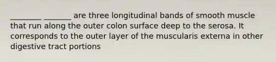 ________ _______ are three longitudinal bands of smooth muscle that run along the outer colon surface deep to the serosa. It corresponds to the outer layer of the muscularis externa in other digestive tract portions