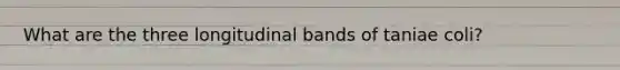 What are the three longitudinal bands of taniae coli?