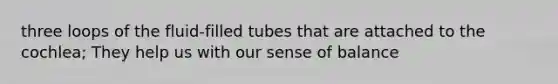 three loops of the fluid-filled tubes that are attached to the cochlea; They help us with our sense of balance