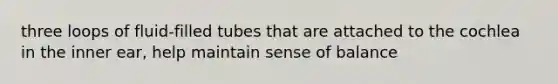 three loops of fluid-filled tubes that are attached to the cochlea in the inner ear, help maintain sense of balance