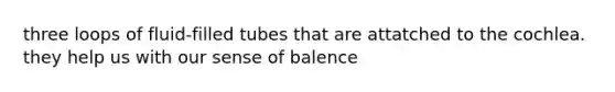 three loops of fluid-filled tubes that are attatched to the cochlea. they help us with our sense of balence