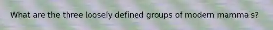 What are the three loosely defined groups of modern mammals?