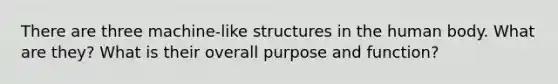 There are three machine-like structures in the human body. What are they? What is their overall purpose and function?