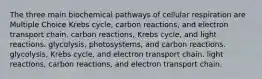 The three main biochemical pathways of cellular respiration are Multiple Choice Krebs cycle, carbon reactions, and electron transport chain. carbon reactions, Krebs cycle, and light reactions. glycolysis, photosystems, and carbon reactions. glycolysis, Krebs cycle, and electron transport chain. light reactions, carbon reactions, and electron transport chain.