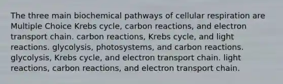 The three main biochemical pathways of cellular respiration are Multiple Choice Krebs cycle, carbon reactions, and electron transport chain. carbon reactions, Krebs cycle, and light reactions. glycolysis, photosystems, and carbon reactions. glycolysis, Krebs cycle, and electron transport chain. light reactions, carbon reactions, and electron transport chain.