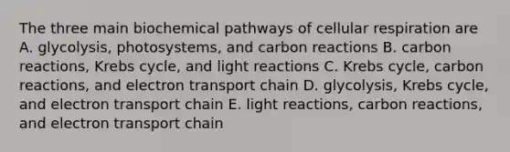 The three main biochemical pathways of cellular respiration are A. glycolysis, photosystems, and carbon reactions B. carbon reactions, Krebs cycle, and light reactions C. Krebs cycle, carbon reactions, and electron transport chain D. glycolysis, Krebs cycle, and electron transport chain E. light reactions, carbon reactions, and electron transport chain