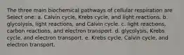 The three main biochemical pathways of cellular respiration are Select one: a. Calvin cycle, Krebs cycle, and light reactions. b. glycolysis, light reactions, and Calvin cycle. c. light reactions, carbon reactions, and electron transport. d. glycolysis, Krebs cycle, and electron transport. e. Krebs cycle, Calvin cycle, and electron transport.