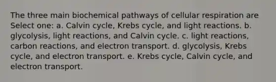 The three main biochemical pathways of cellular respiration are Select one: a. Calvin cycle, Krebs cycle, and light reactions. b. glycolysis, light reactions, and Calvin cycle. c. light reactions, carbon reactions, and electron transport. d. glycolysis, Krebs cycle, and electron transport. e. Krebs cycle, Calvin cycle, and electron transport.