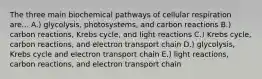 The three main biochemical pathways of cellular respiration are... A.) glycolysis, photosystems, and carbon reactions B.) carbon reactions, Krebs cycle, and light reactions C.) Krebs cycle, carbon reactions, and electron transport chain D.) glycolysis, Krebs cycle and electron transport chain E.) light reactions, carbon reactions, and electron transport chain