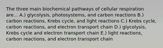 The three main biochemical pathways of cellular respiration are... A.) glycolysis, photosystems, and carbon reactions B.) carbon reactions, Krebs cycle, and light reactions C.) Krebs cycle, carbon reactions, and electron transport chain D.) glycolysis, Krebs cycle and electron transport chain E.) light reactions, carbon reactions, and electron transport chain