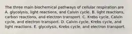 The three main biochemical pathways of cellular respiration are A. glycolysis, light reactions, and Calvin cycle. B. light reactions, carbon reactions, and electron transport. C. Krebs cycle, Calvin cycle, and electron transport. D. Calvin cycle, Krebs cycle, and light reactions. E. glycolysis, Krebs cycle, and electron transport.