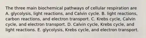 The three main biochemical pathways of cellular respiration are A. glycolysis, light reactions, and Calvin cycle. B. light reactions, carbon reactions, and electron transport. C. Krebs cycle, Calvin cycle, and electron transport. D. Calvin cycle, Krebs cycle, and light reactions. E. glycolysis, Krebs cycle, and electron transport.