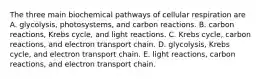 The three main biochemical pathways of cellular respiration are A. glycolysis, photosystems, and carbon reactions. B. carbon reactions, Krebs cycle, and light reactions. C. Krebs cycle, carbon reactions, and electron transport chain. D. glycolysis, Krebs cycle, and electron transport chain. E. light reactions, carbon reactions, and electron transport chain.