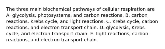 The three main biochemical pathways of cellular respiration are A. glycolysis, photosystems, and carbon reactions. B. carbon reactions, Krebs cycle, and light reactions. C. Krebs cycle, carbon reactions, and electron transport chain. D. glycolysis, Krebs cycle, and electron transport chain. E. light reactions, carbon reactions, and electron transport chain.