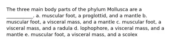 The three main body parts of the phylum Mollusca are a ___________. a. muscular foot, a proglottid, and a mantle b. muscular foot, a visceral mass, and a mantle c. muscular foot, a visceral mass, and a radula d. lophophore, a visceral mass, and a mantle e. muscular foot, a visceral mass, and a scolex