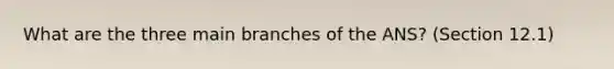 What are the three main branches of the ANS? (Section 12.1)