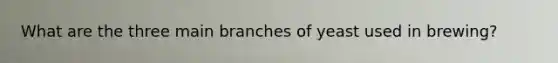 What are the three main branches of yeast used in brewing?