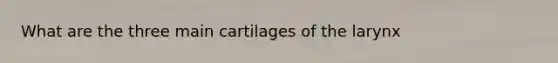 What are the three main cartilages of the larynx