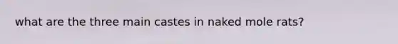 what are the three main castes in naked mole rats?