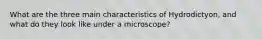 What are the three main characteristics of Hydrodictyon, and what do they look like under a microscope?