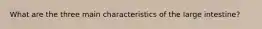 What are the three main characteristics of the large intestine?