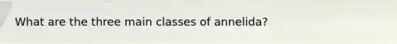 What are the three main classes of annelida?