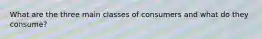 What are the three main classes of consumers and what do they consume?