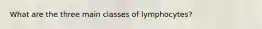 What are the three main classes of lymphocytes?