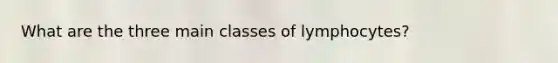 What are the three main classes of lymphocytes?