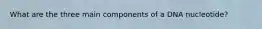 What are the three main components of a DNA nucleotide?