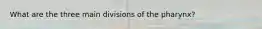 What are the three main divisions of the pharynx?