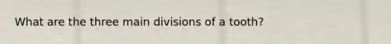 What are the three main divisions of a tooth?