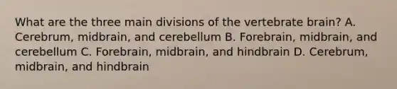 What are the three main divisions of the vertebrate brain? A. Cerebrum, midbrain, and cerebellum B. Forebrain, midbrain, and cerebellum C. Forebrain, midbrain, and hindbrain D. Cerebrum, midbrain, and hindbrain