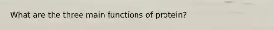 What are the three main functions of protein?
