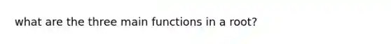 what are the three main functions in a root?