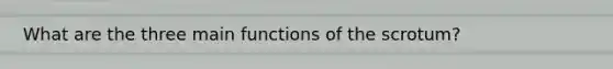 What are the three main functions of the scrotum?