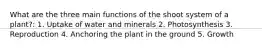 What are the three main functions of the shoot system of a plant?: 1. Uptake of water and minerals 2. Photosynthesis 3. Reproduction 4. Anchoring the plant in the ground 5. Growth