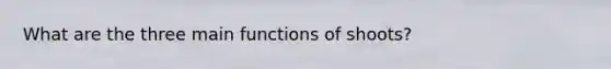 What are the three main functions of shoots?
