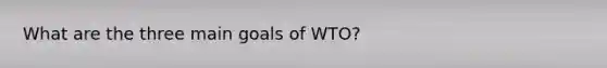 What are the three main goals of WTO?