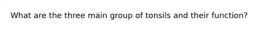 What are the three main group of tonsils and their function?