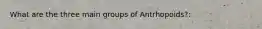 What are the three main groups of Antrhopoids?: