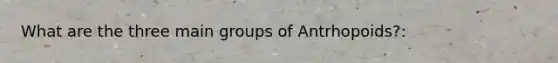 What are the three main groups of Antrhopoids?: