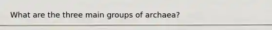 What are the three main groups of archaea?