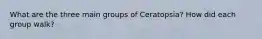 What are the three main groups of Ceratopsia? How did each group walk?