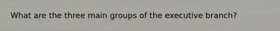 What are the three main groups of the executive branch?